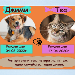 Визитка на домашни любимци