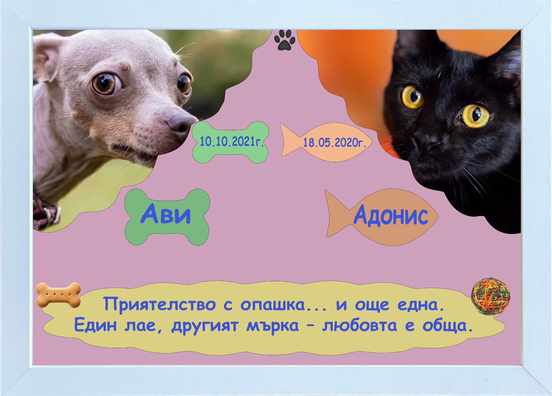 Визитка на домашни любимци