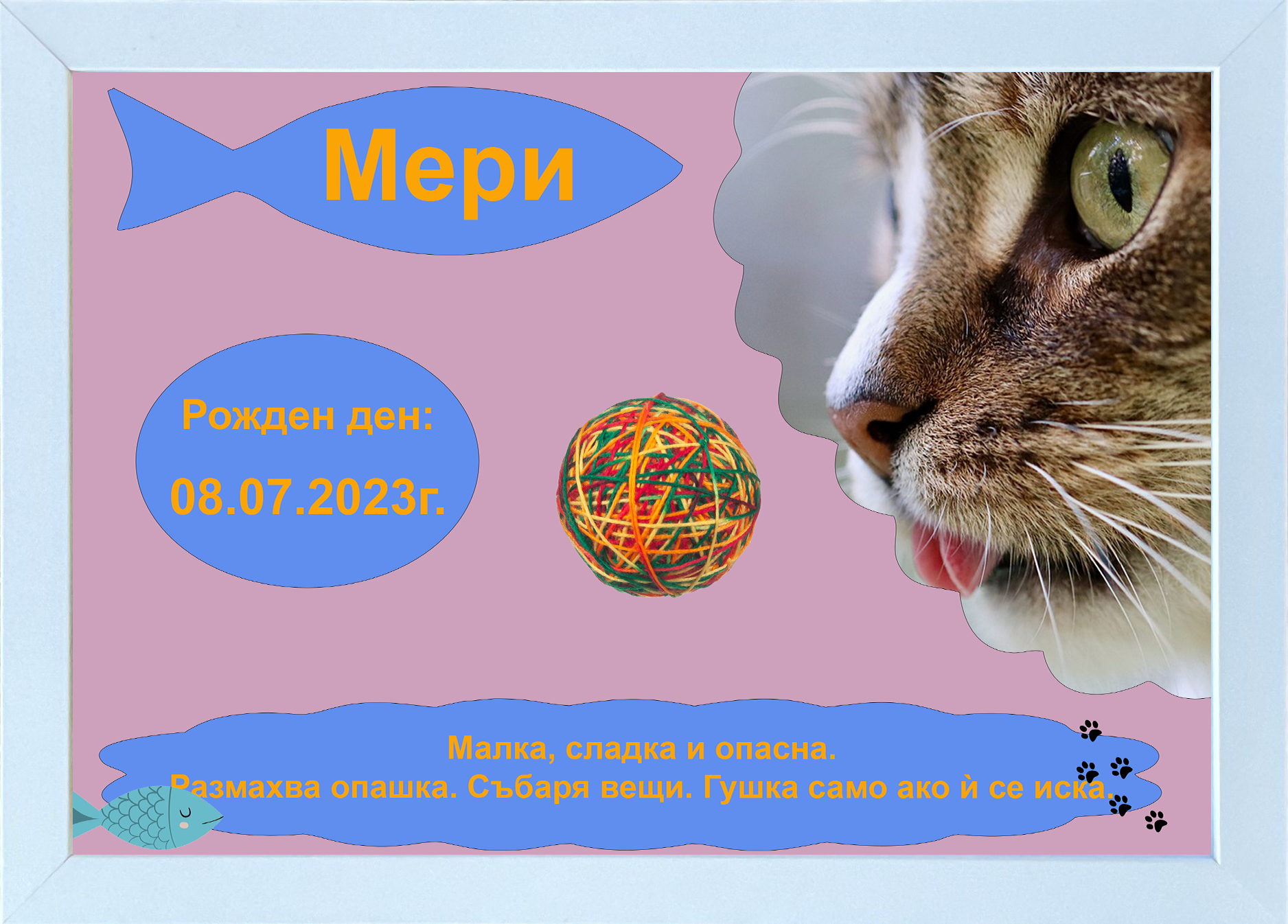 Визитка за котка с име и характер Визитка на коте с уникален стил